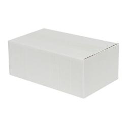 25x20x10 cm Caja Blanca de Cartón Ondulado Simple