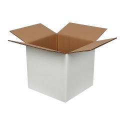 30x30x30 cm Caja Doble de Cartón Ondulado Blanco