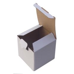 10,5x10,5x10,5x10,5 cm Caja Blanca Lista