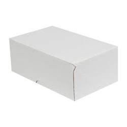 20x13x7,5 cm Caja Blanca para Envíos de Comercio Electrónico (4 Puntos)