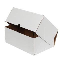 20x15x9 cm Caja Blanca para Envíos de Comercio Electrónico (4 Puntos)