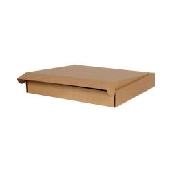 57x46x8 cm Caja Doble Corrugada Ziplock Kraft