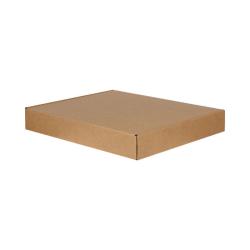 57x46x8 cm Caja Doble Corrugada Ziplock Kraft