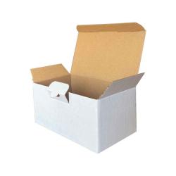 17,5x10x8,5 cm Caja Blanca Lista