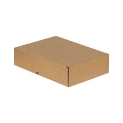 Caja de Cartón 24x17x4 cm Con Cierre Kraft