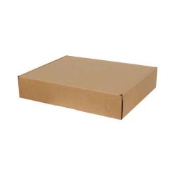 39x22x8 cm Caja Kraft Doble Corrugado Ziplock