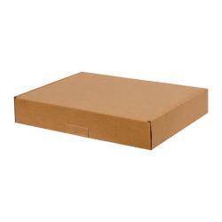 43,5x30,5x13,5 cm Caja A3 Doble Ondulado